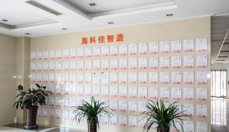 青島?？萍沿褡逶紕撔?走出國門完成增效